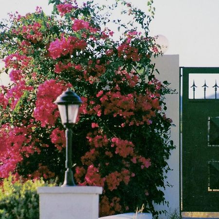 גנאדי Beachfront Villa Rhodes Seashell מראה חיצוני תמונה