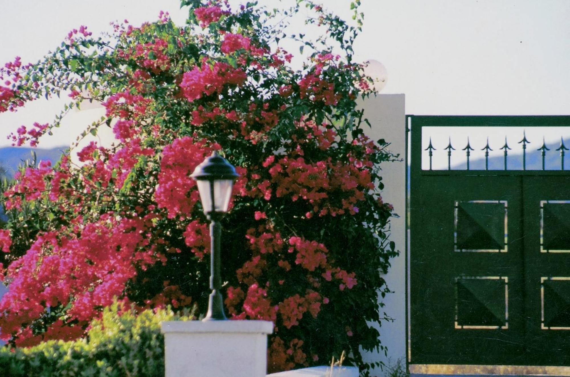 גנאדי Beachfront Villa Rhodes Seashell מראה חיצוני תמונה